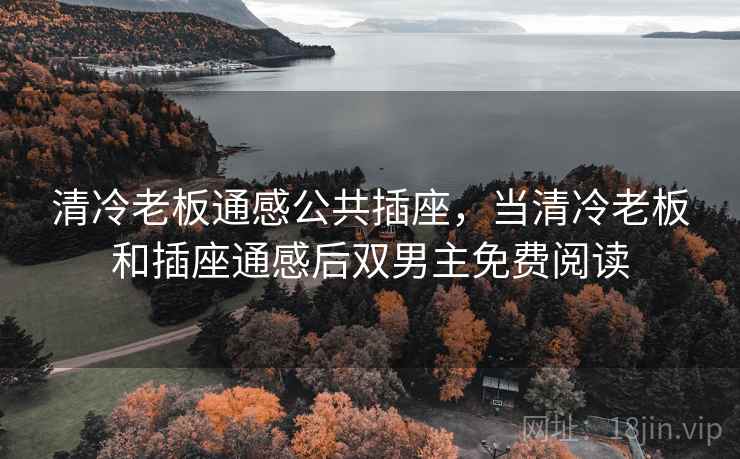 清冷老板通感公共插座，当清冷老板和插座通感后双男主免费阅读