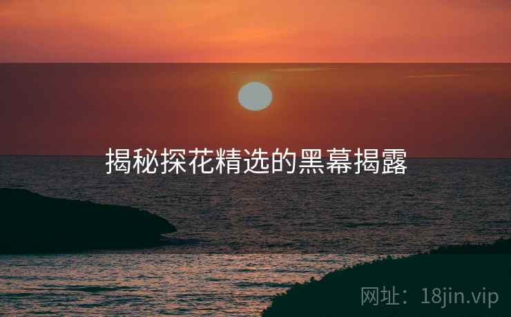揭秘探花精选的黑幕揭露