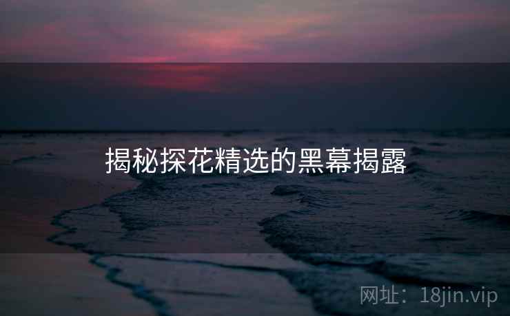揭秘探花精选的黑幕揭露