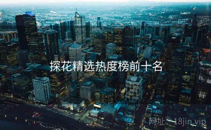 探花精选热度榜前十名